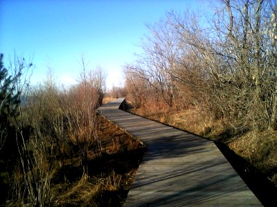 Boardwalk 1 photo