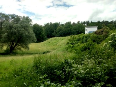 Bocksbach, HRB Mutschelbach, Damm von Osten