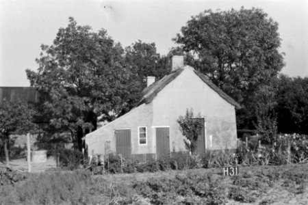 Boerderij bij Halsteren (ruilverkaveling Halsteren), Bestanddeelnr 170-2470