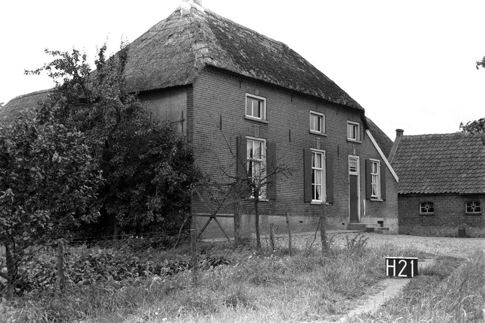 Boerderij bij Horssen (ruilverkaveling Land van Maas en Waal), Bestanddeelnr 170-2307
