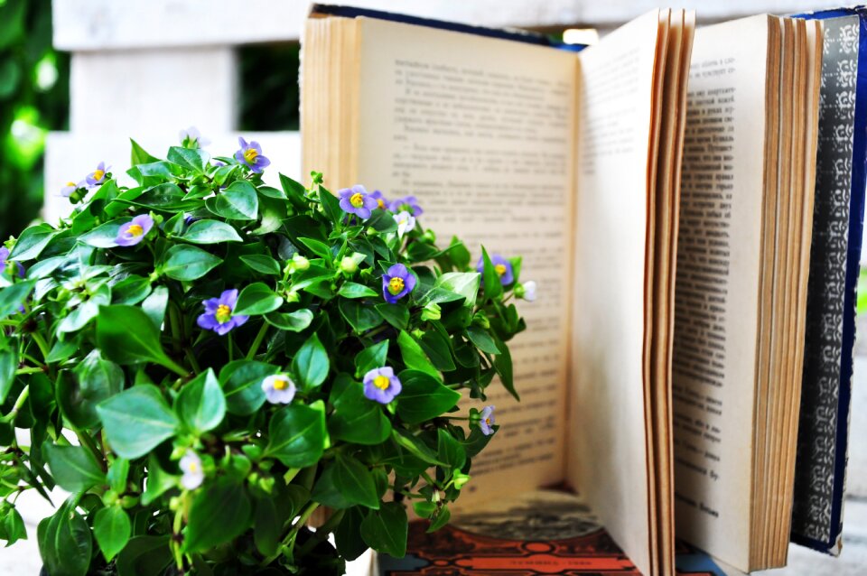 Read notebook reading
