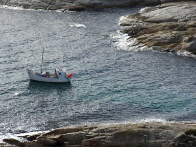 Boat at Bicheno Tasmania 201907025-016