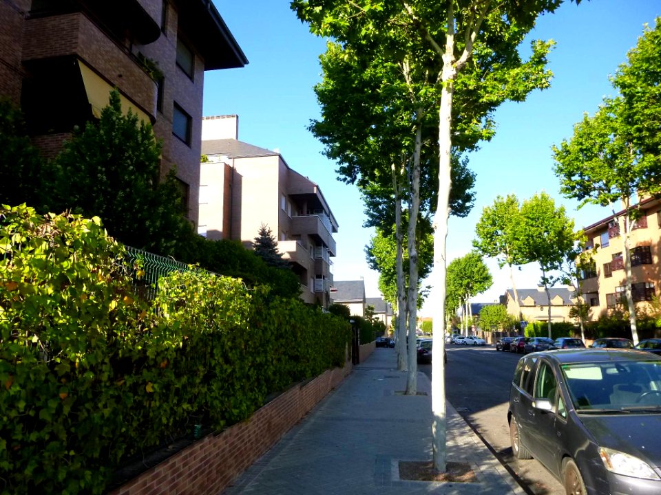 Boadilla del Monte 10