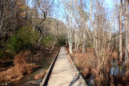 Boardwalk on the Cochran Shoals trail, Cobb County Nov 2017