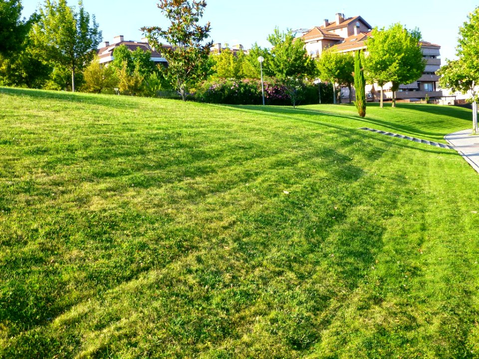 Boadilla del Monte 36