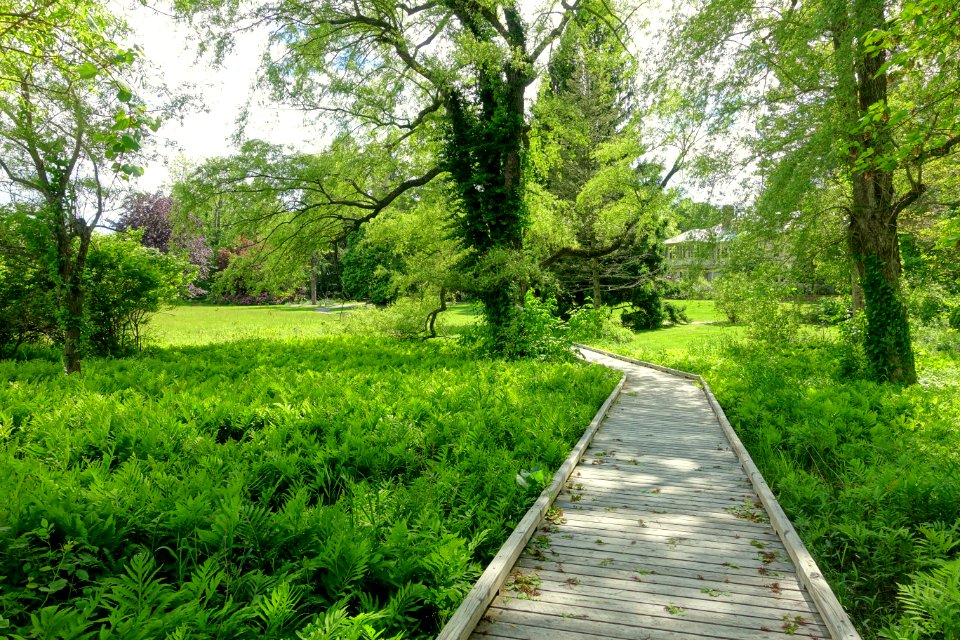 Boardwalk - Doyle Community Park & Center - Leominster, Massachusetts - DSC06354