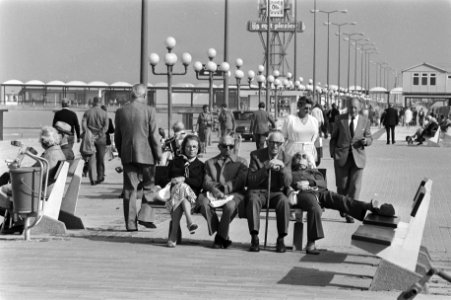 Boulevards, wandelen, herfst, Bestanddeelnr 930-4830