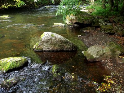 Bode Umgebung Altenbrak 15)