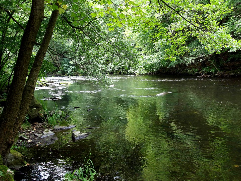 Bode Umgebung Altenbrak (10)