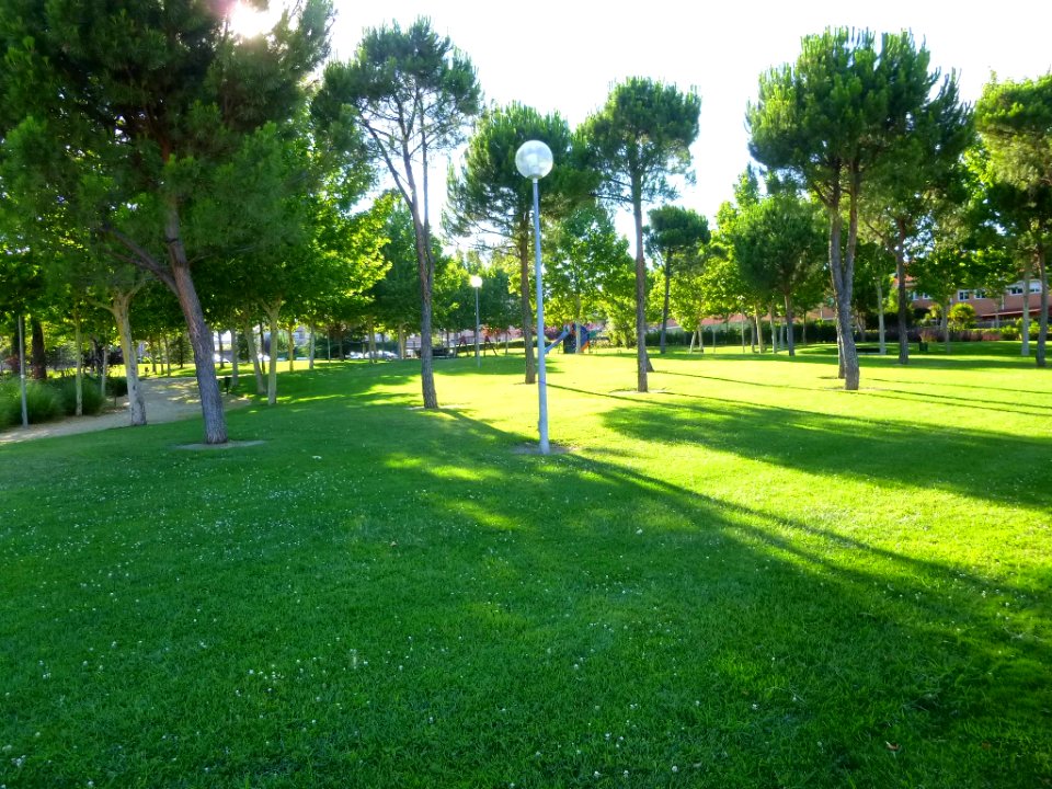 Boadilla del Monte 16