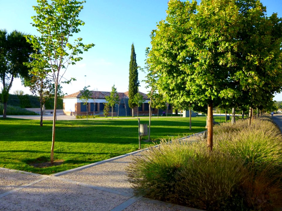 Boadilla del Monte 33