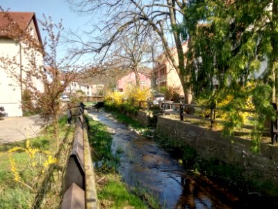 Bocksbach, in Kleinsteinbach (5)