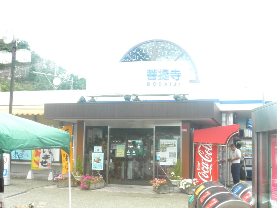 Bodaiji S.A up line