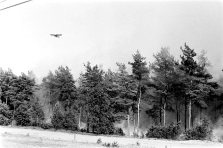 Bosbrand bij t Harde op de Veluwe, Bestanddeelnr 923-6023