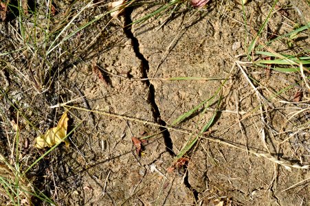 Bodenriss 2018-08-08