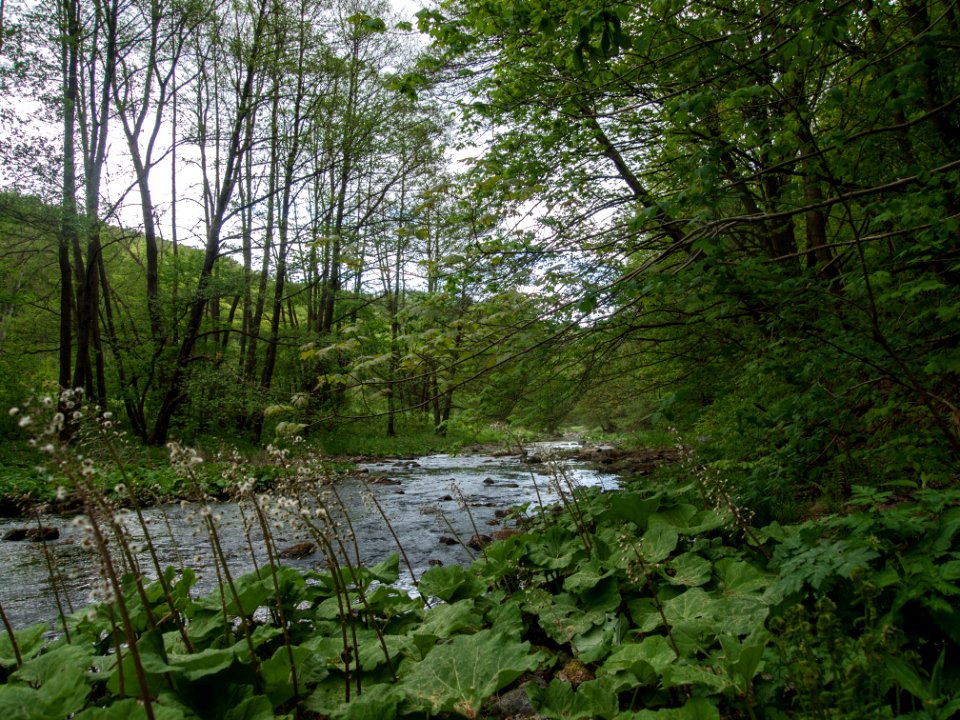 Bode Wendefurth-Altenbrak (2)
