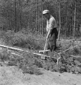 Bosbewerking, arbeiders, gereedschappen, Bestanddeelnr 251-7366
