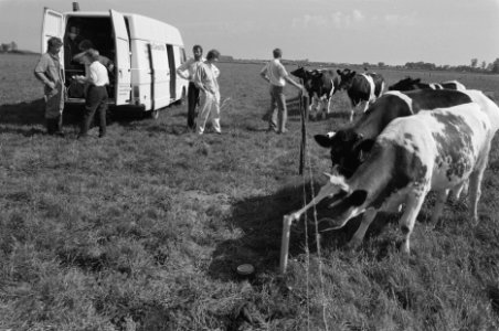Bodemonderzoek voormalige stortplaats bij Amersfoort naar chemisch afval koeien, Bestanddeelnr 934-2531