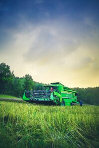 Oilseed rape cereals nature