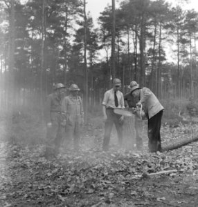 Bosbewerking, arbeiders, gereedschappen, boomstammen, Bestanddeelnr 251-8413