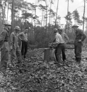 Bosbewerking, arbeiders, gereedschappen, boomstammen, Bestanddeelnr 251-8410