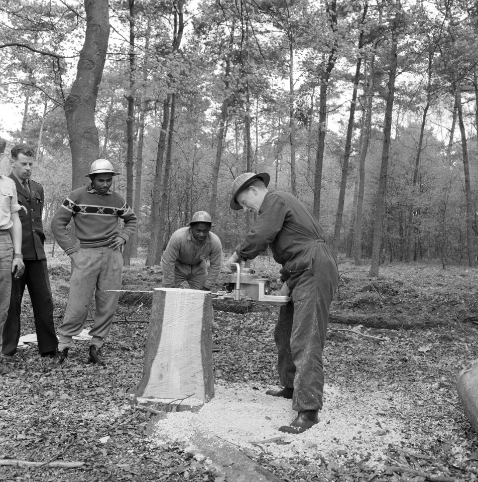 Bosbewerking, arbeiders, gereedschappen, boomstammen, zagen, Bestanddeelnr 251-9050