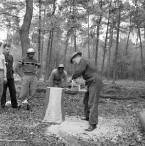 Bosbewerking, arbeiders, gereedschappen, boomstammen, zagen, Bestanddeelnr 251-9050