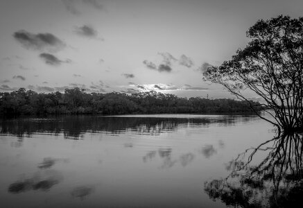 Reflection nature blackandwhite