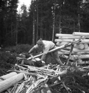 Bosbewerking, arbeiders, gereedschappen, bomen vellen, Bestanddeelnr 251-8622