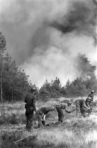 Bosbrand ten noorden van Arnhem Soldaten bezig met het graven van een greppel, Bestanddeelnr 910-5454
