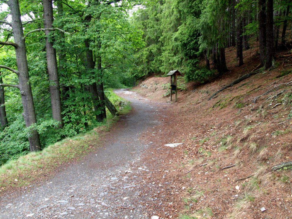 Bodetal (2)
