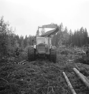 Bosbewerking, machines, werktuigen, voertuigen, takels, Bestanddeelnr 253-5294