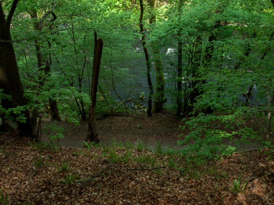 Bodeweg Bode 05-2016
