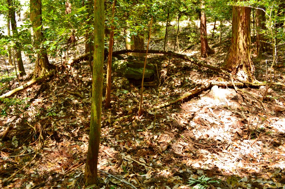 Boden Kofun Group-2