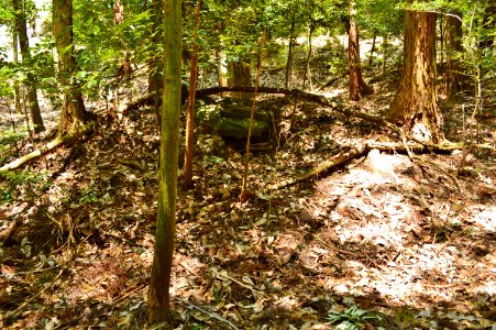 Boden Kofun Group-2