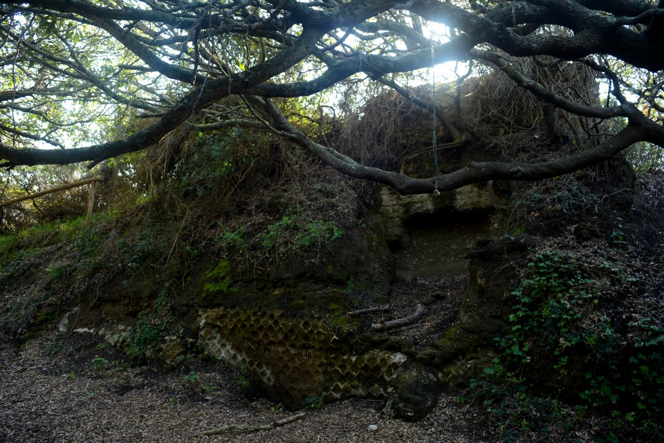 Bosco di Cuma - il Faro
