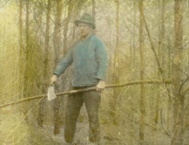 Bosbouw, zandverstuiving, bosbouw, dennenbos, dunsel, Bestanddeelnr 193-0683