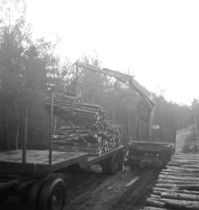 Bosbewerking, arbeiders, boomstammen, takelwagens, laadwerkzaamheden, Bestanddeelnr 253-5997