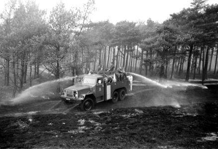 Bosbrand bij t Harde op de Veluwe, Bestanddeelnr 923-6021
