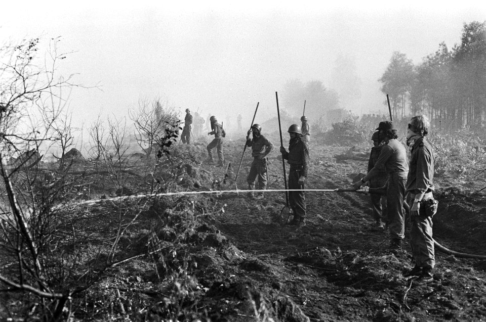 Bosbrand bij Arnhem, militairen in aktie, Bestanddeelnr 928-6821