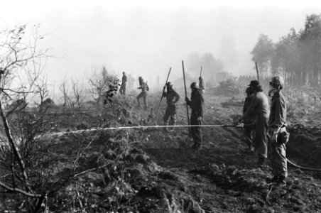 Bosbrand bij Arnhem, militairen in aktie, Bestanddeelnr 928-6821