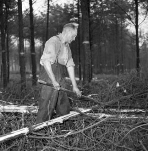 Bosbewerking, arbeiders, boomstammen, gereedschappen, Bestanddeelnr 251-9148