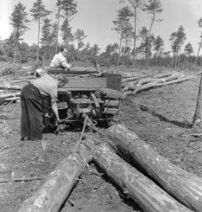 Bosbewerking, arbeiders, boomstammen, machines, Bestanddeelnr 251-8149