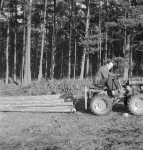 Bosbewerking, arbeiders, boomstammen, landbouwmachines, werktuigen, sleepwerkzaa, Bestanddeelnr 253-4001