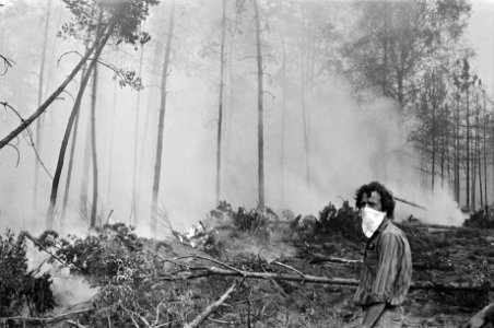 Bosbrand bij Arnhem, vrijwilliger met zakdoek voor gezicht, Bestanddeelnr 928-6816