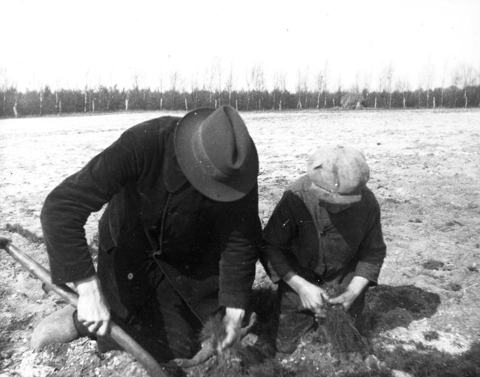 Bosbouw, zandverstuiving, bosbouw, grondbewerking, Bestanddeelnr 193-0673