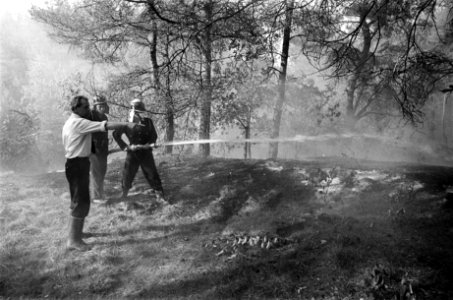 Bosbrand bij t Harde op de Veluwe brandweer blust, Bestanddeelnr 923-6017