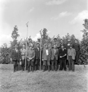Bosbewerking, arbeiders, gereedschappen, groepsfoto's, Bestanddeelnr 251-8549