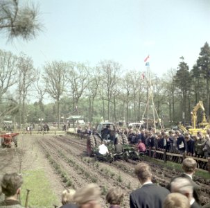 Bosbouw demonstratie ploegen en planten, Bestanddeelnr 253-5175