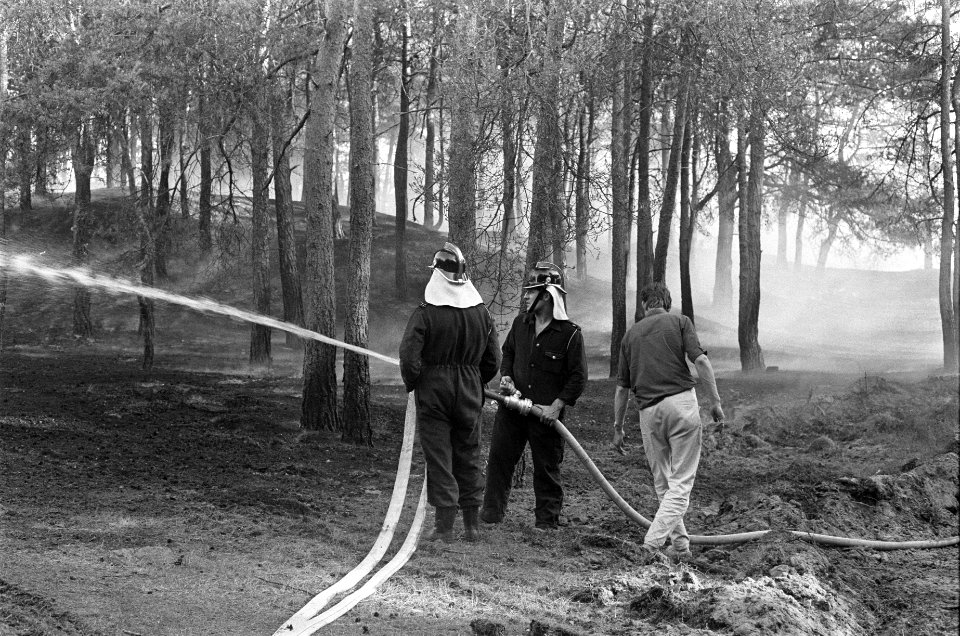 Bosbrand bij t Harde op de Veluwe, Bestanddeelnr 923-6024